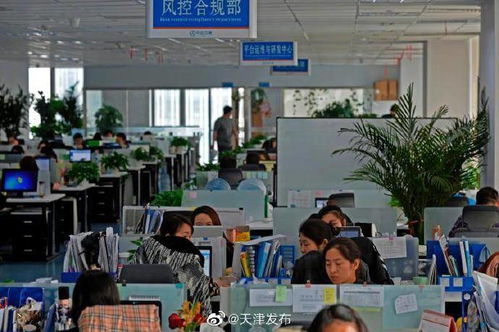 中企云鏈 以創新金融科技服務安心扎根，以信息技術咨詢服務舒心發展