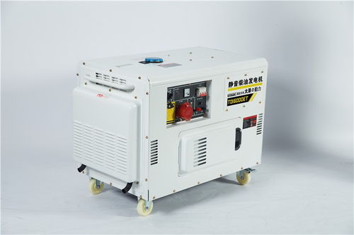 強勁動力之源 12kW雙缸柴油發電機組的性能分析